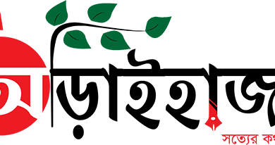 বাড়ছে না বিদ্যুতের দাম