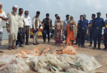 আড়াইহাজারে ইলিশ শিকারের দায়ে কারেন্ট জাল জব্দ