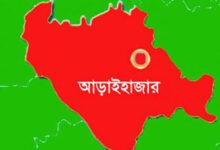 আড়াইহাজারে গোয়াল থেকে ৪টি গরু চুরি