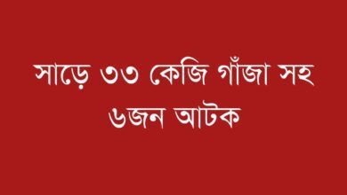 আড়াইহাজারে সাড়ে ৩৩ কেজি গাঁজাসহ আটক-৬