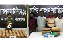 আড়াইহাজারে দুই অভিযানে ৩১কেজি গাঁজা সহ আটক-৬