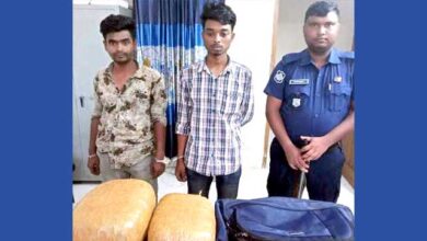 আড়াইহাজারে ৬ কেজি গাঁজাসহ আটক-২