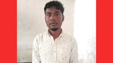 আড়াইহাজারে মাকে পিটিয়ে হত্যা, ছেলে আটক