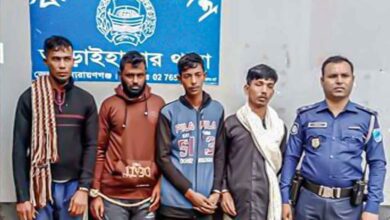 আড়াইহাজারে ৪ গরুচোর আটক, দুটি গরু উদ্ধার