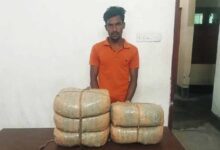আড়াইহাজারে ১০ কেজি গাঁজাসহ মাদক কারবারি আটক
